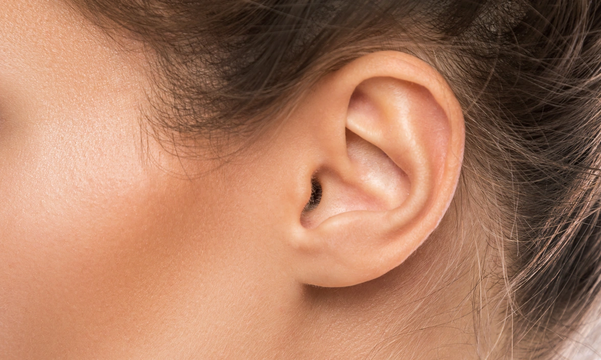 Close up of a human ear and side of face 