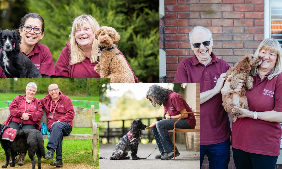 A collection of photos of people in volunteer uniform with dogs looking happy