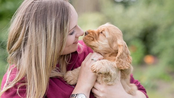Hearing do staff member holding a hearing dog puppy