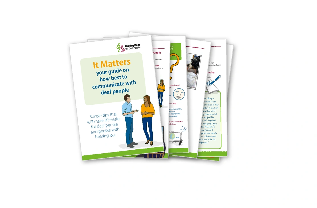 It Matters Guide Image