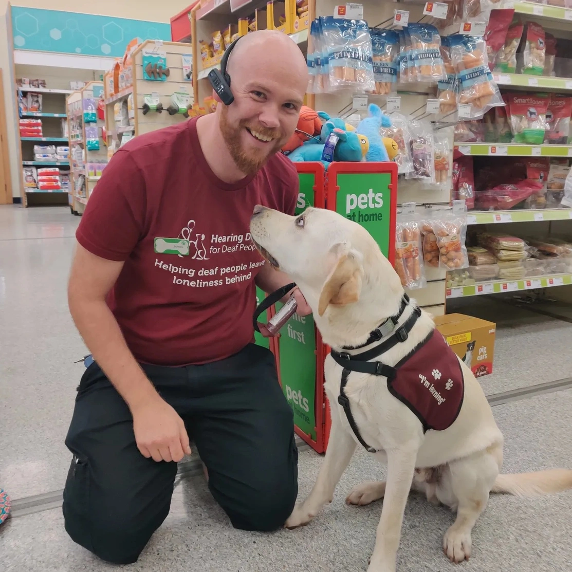 Colleague with golden labrador Pluto