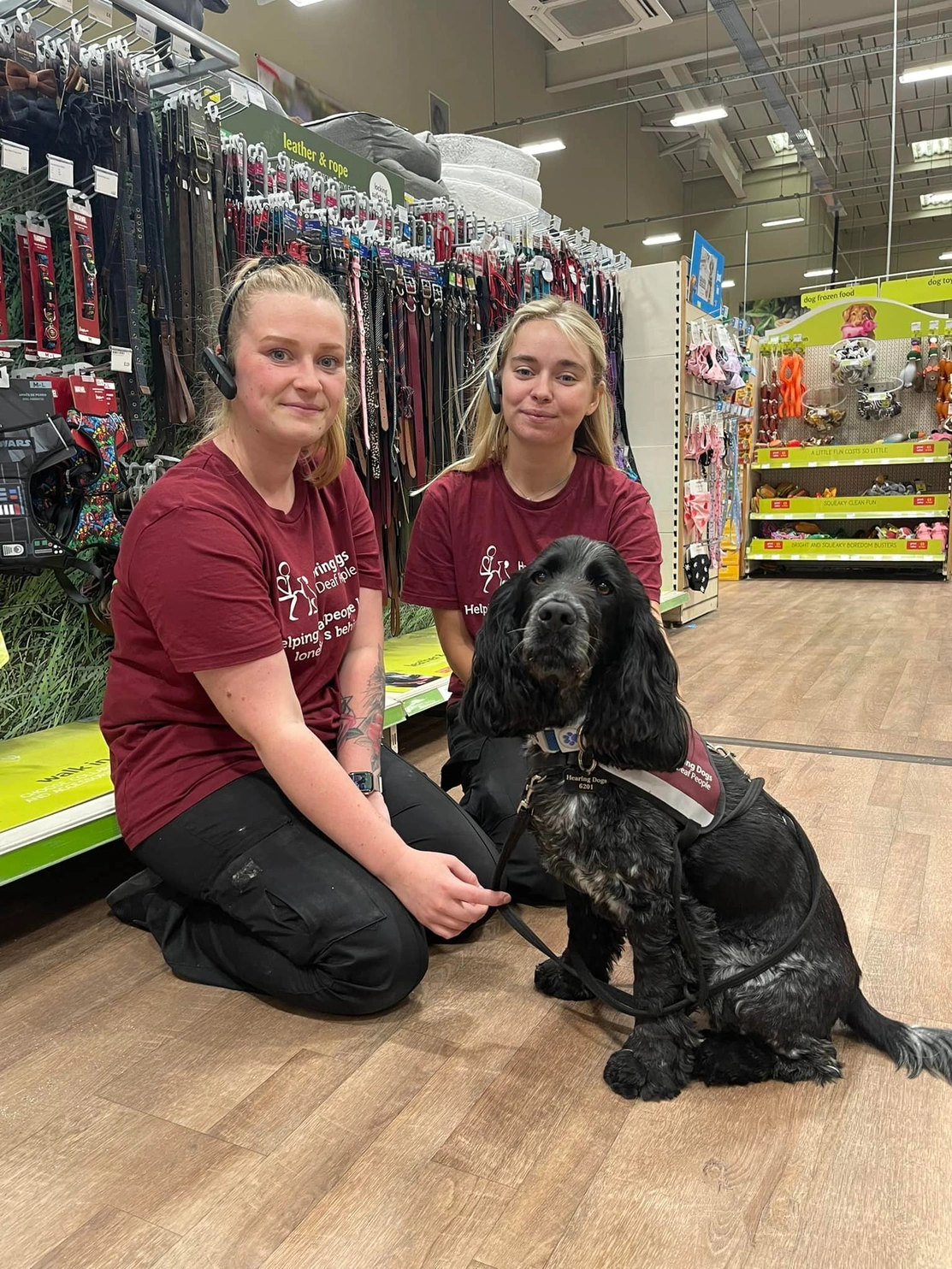 Ipswich colleagues with black spaniel Pippin