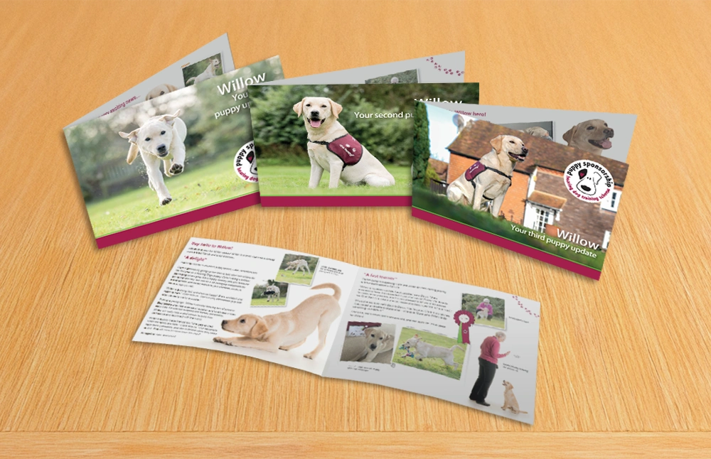 Four printed updates about a hearing dog called willow spread out on a wooden table 
