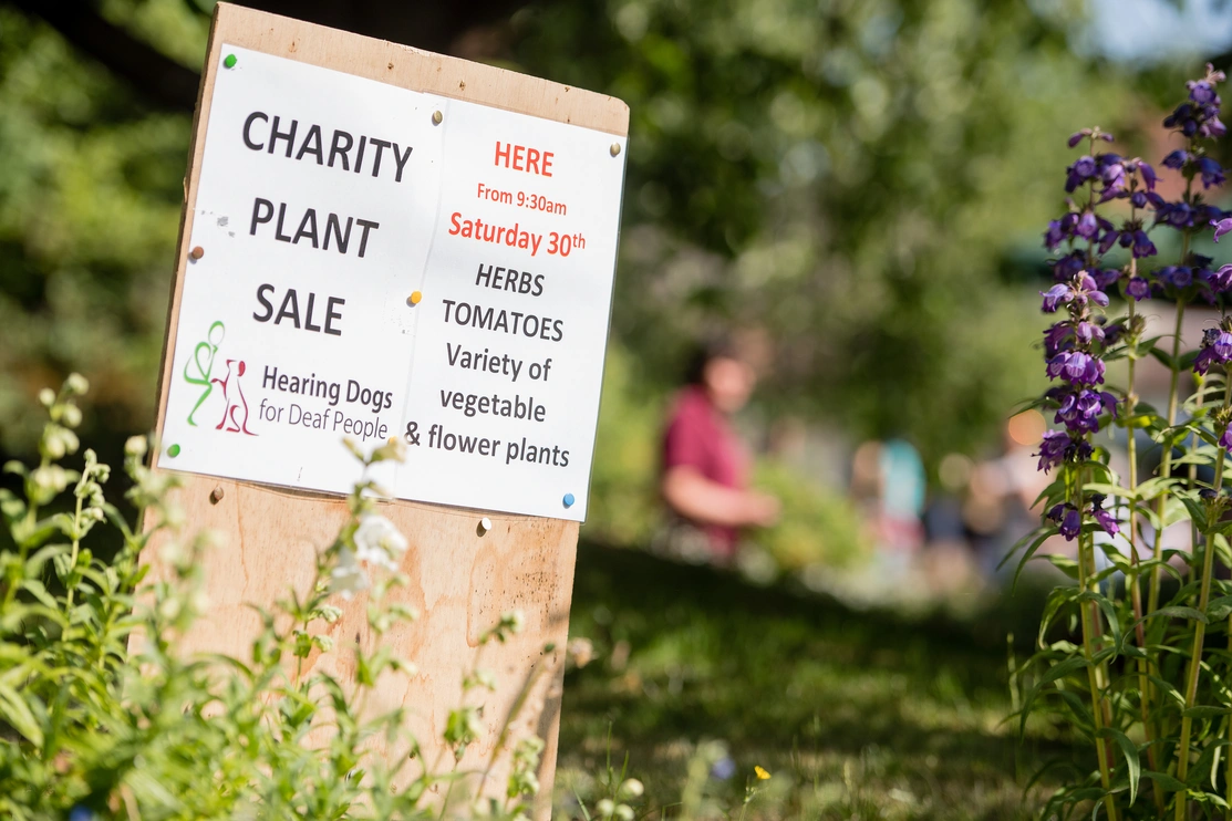 Sign for a charity plant sale on a sunny day with flowers around it and people in the background