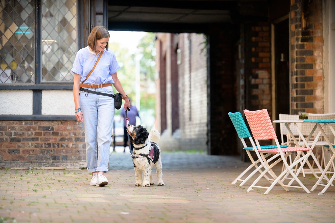 A joyful image of a woman walking alongside a Cocker Spaniel, with buildings and cafe chairs in the background, the woman is smiling as she looks down at the dog, and the dog looks lovingly back up at her, the dog is wearing a hearing dogs jacket
