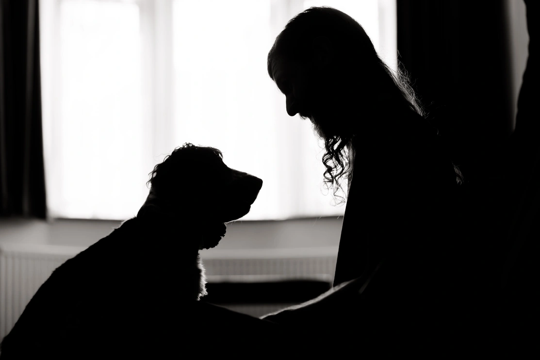 Silhouette of a person and a dog from the side, the person is crouching down and leaning towards the dog