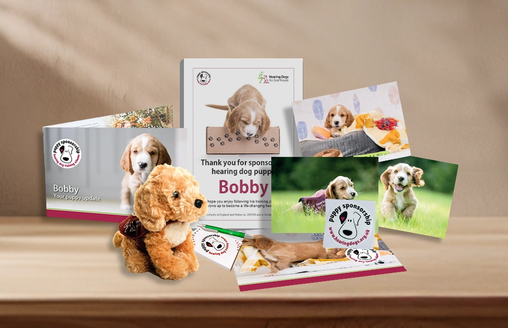 Hearing dogs sponsorship welcome pack for a puppy called Bobby, including a soft toy, notepad, pen, sticker, certificate and postcards