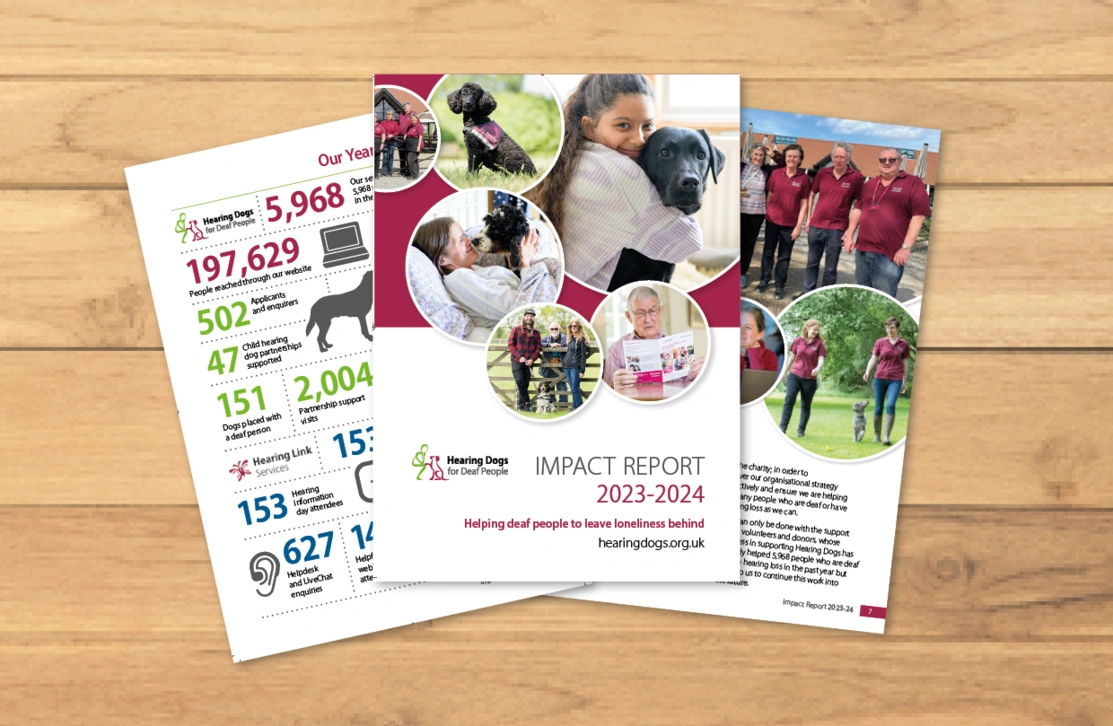 Various Impact Report Cover and Pages Image Options 
