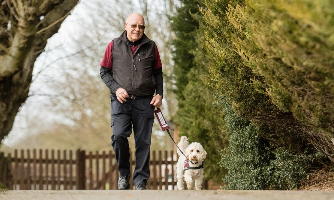 A man walking a cockapoo on a lead along a path surrounding by greenery