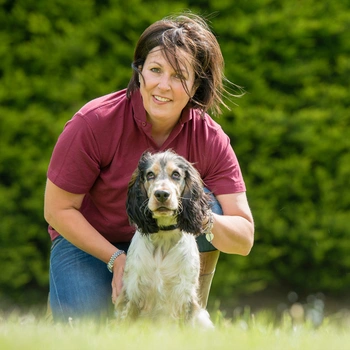 A Hearing Dogs staff member kneeling with a white and brown Cocker Spaniel