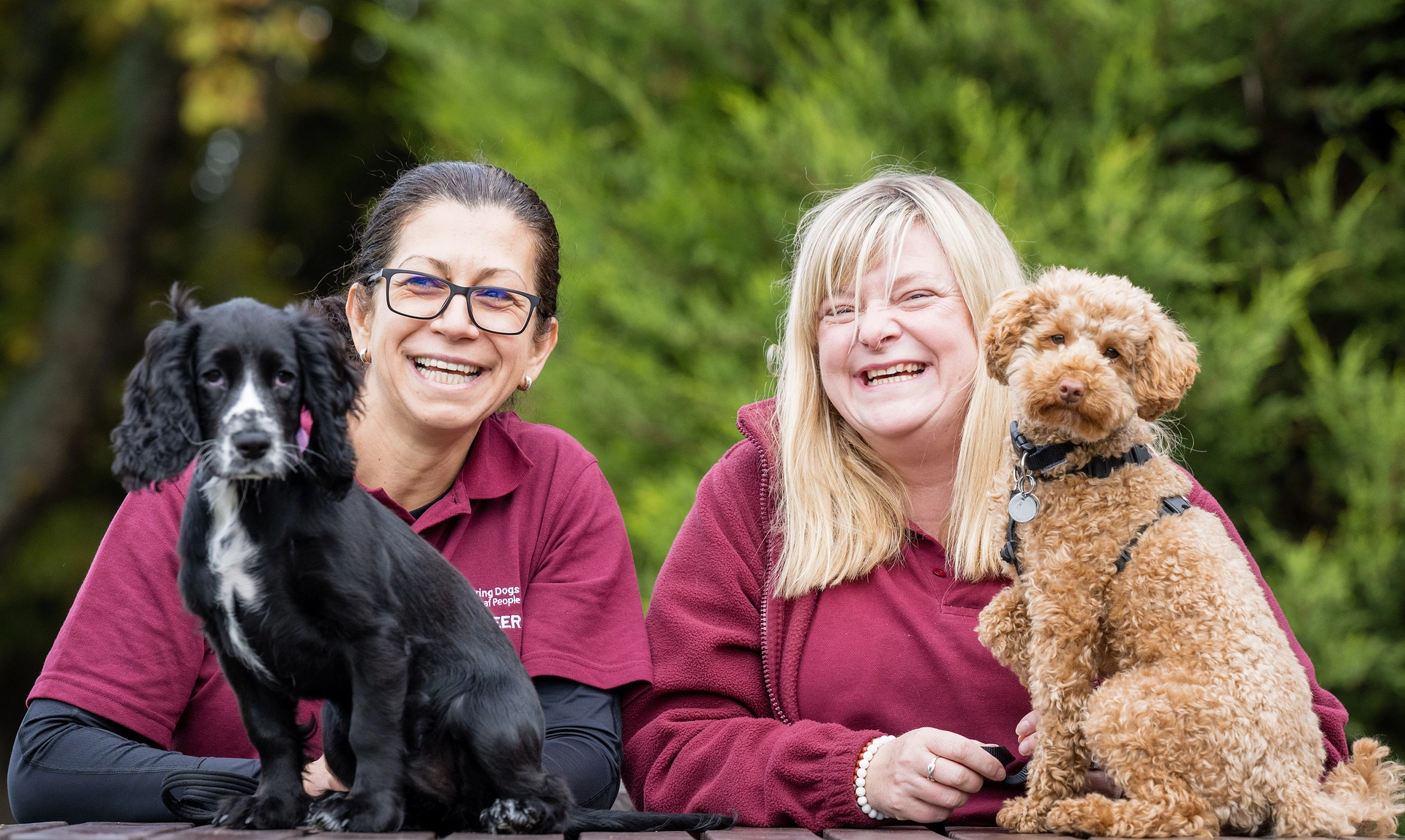 Two laughing women both wearing burgundy hearing dogs volunteer uniform, the woman on the left has a Spaniel with her and the woman on the right has a Cockapoo