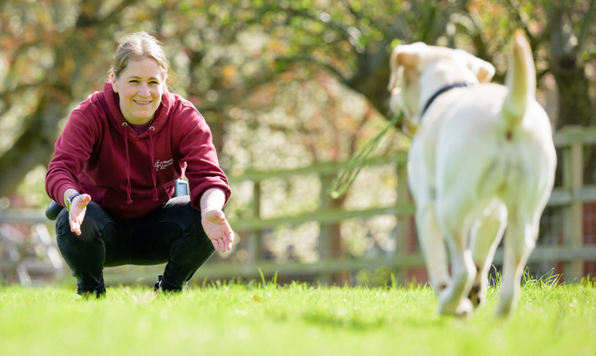 Dog running towards woman