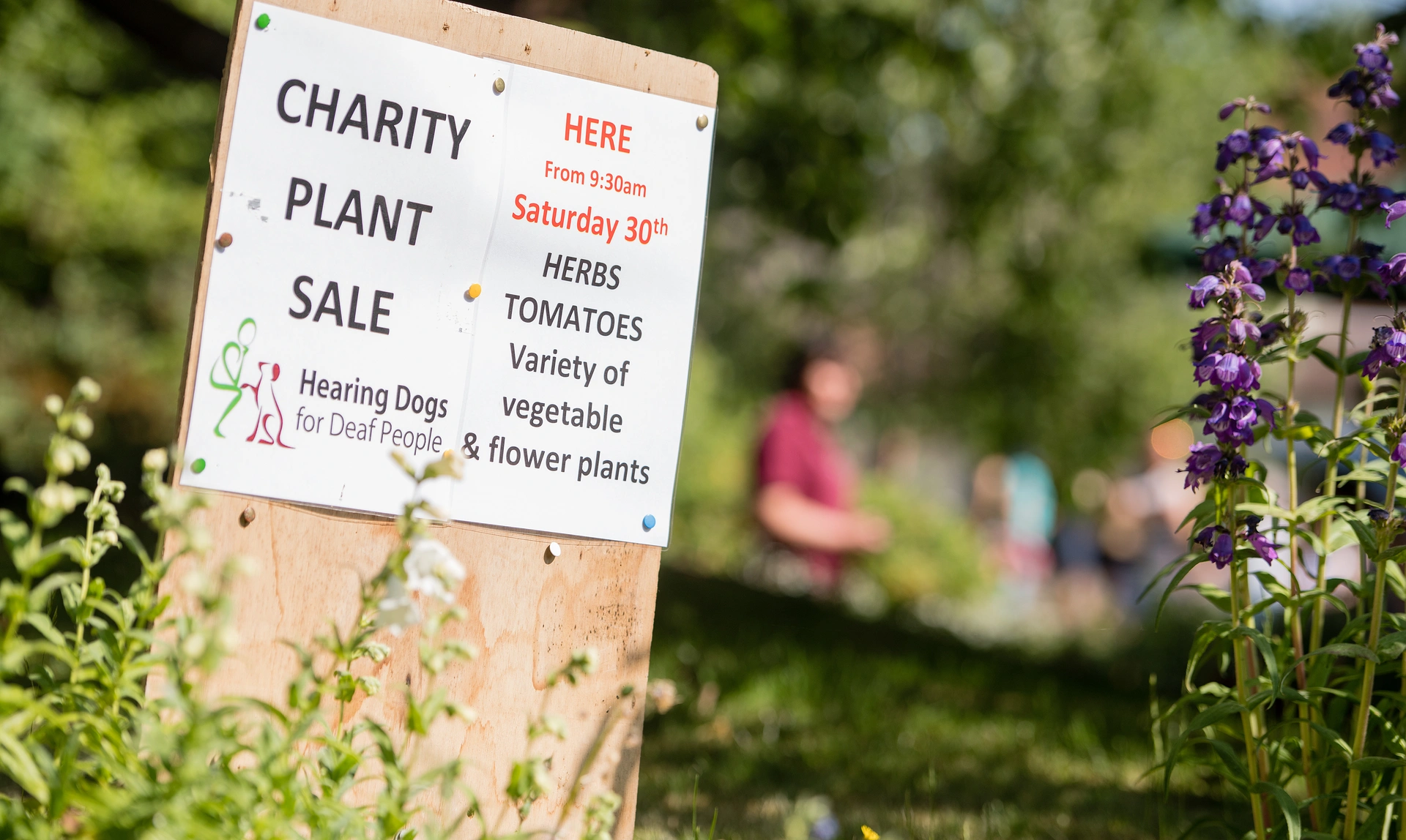 Sign for a charity plant sale on a sunny day with flowers around it and people in the background
