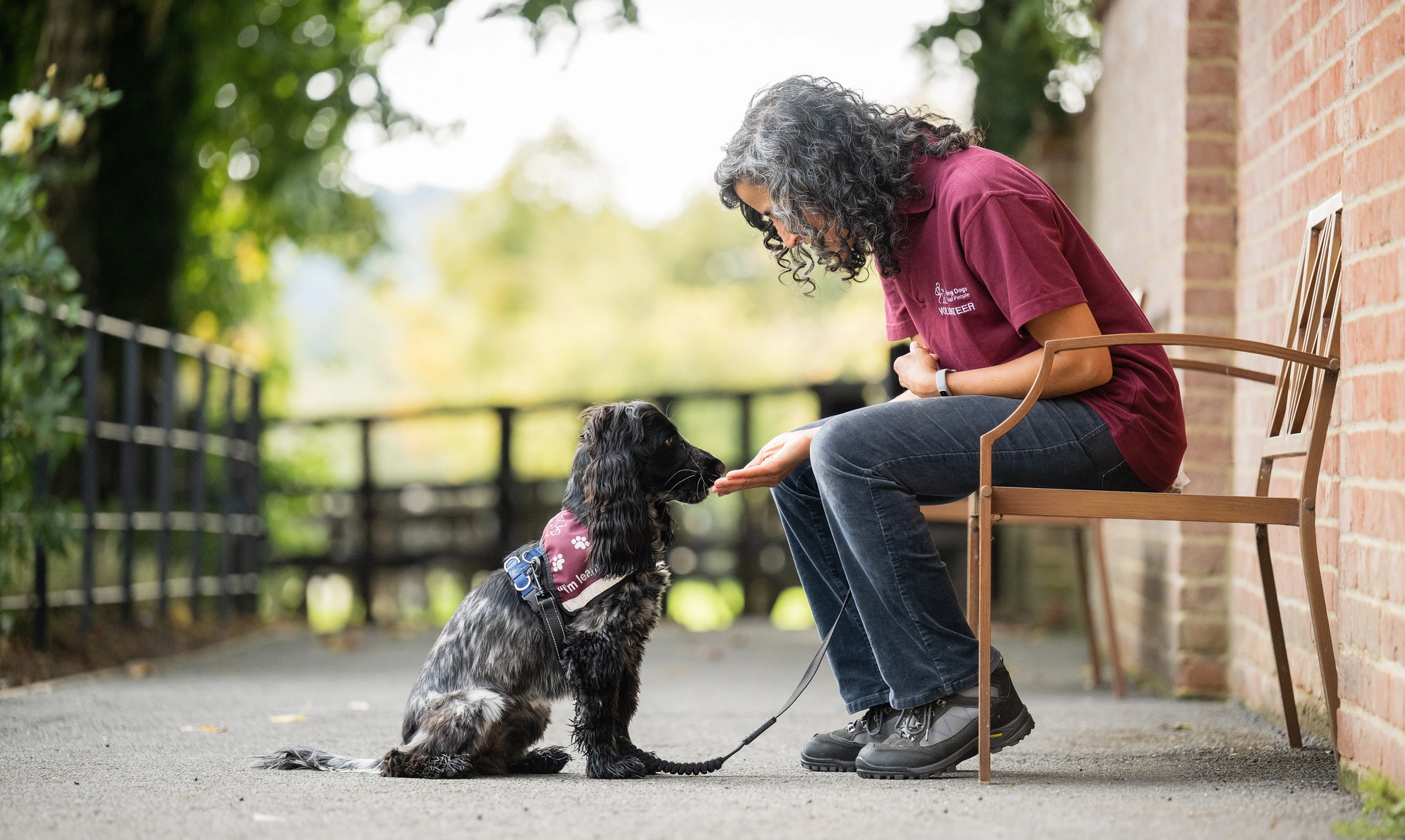 Woman sat outside on a bench giving a treat to a black and white Spaniel where a training jacket
