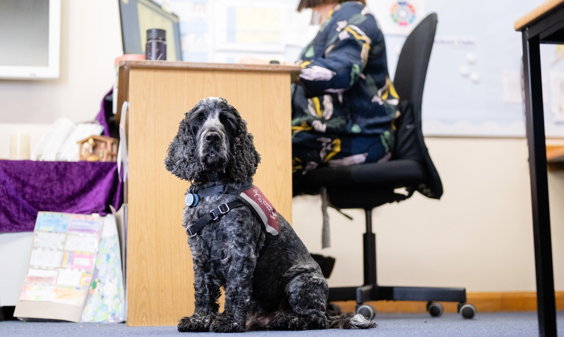 A hearing dog sitting in front of an office desk while a woman works in tyhe background