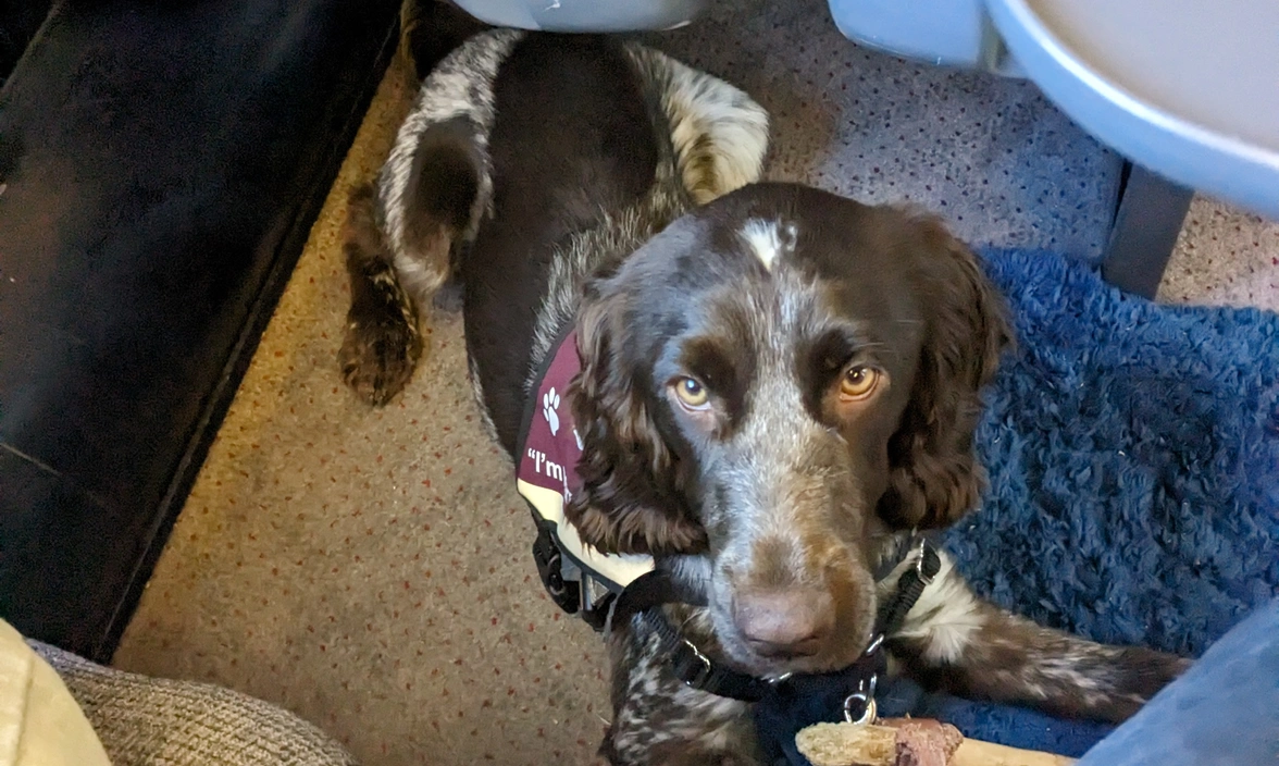Oscar