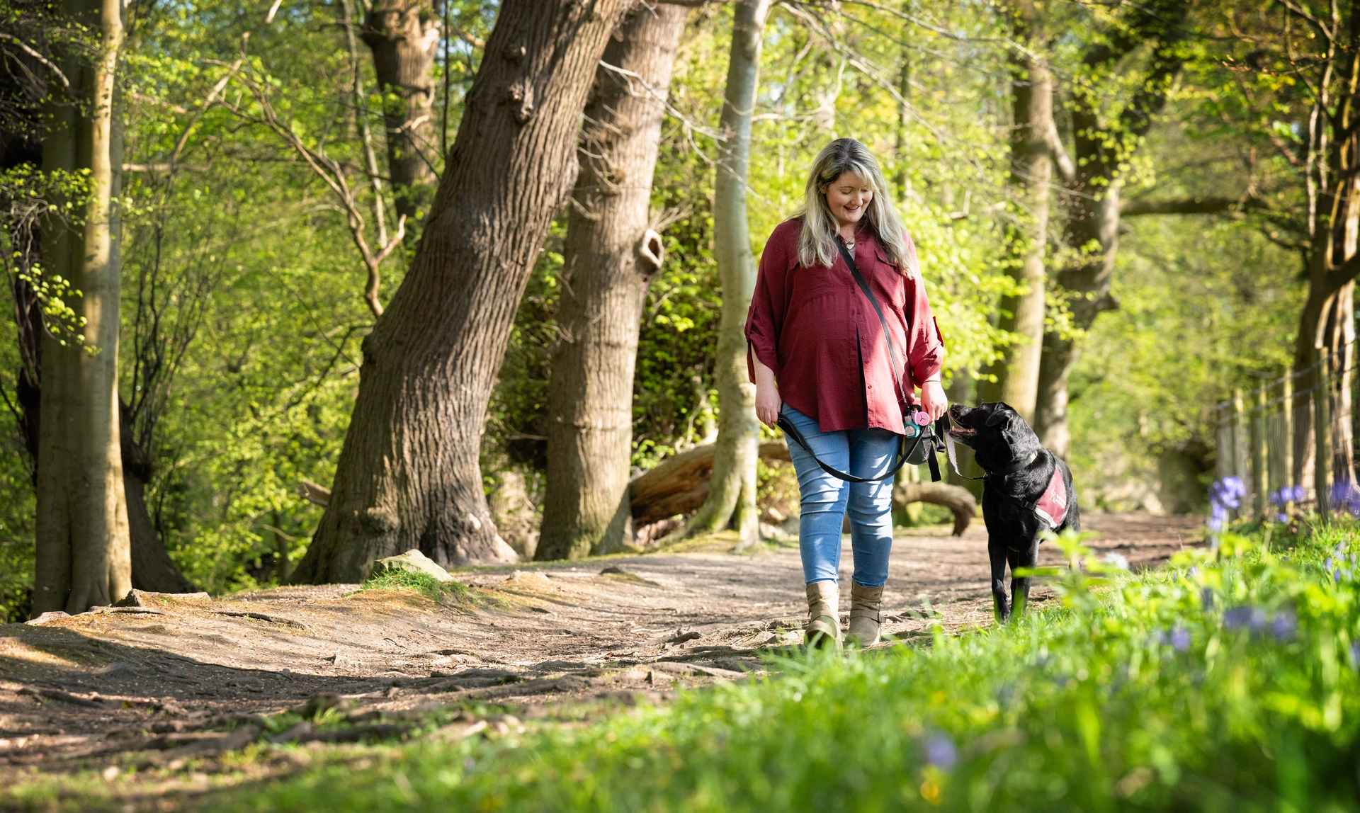 Woman walking dog through woodland