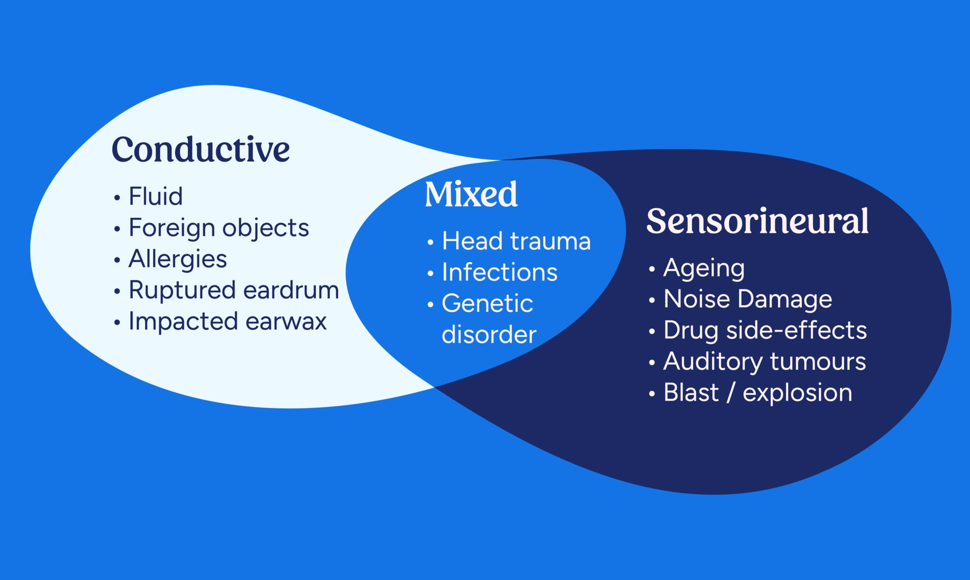 Venn diagram diagram showing the 3 categories which could possibly cause hearing loss