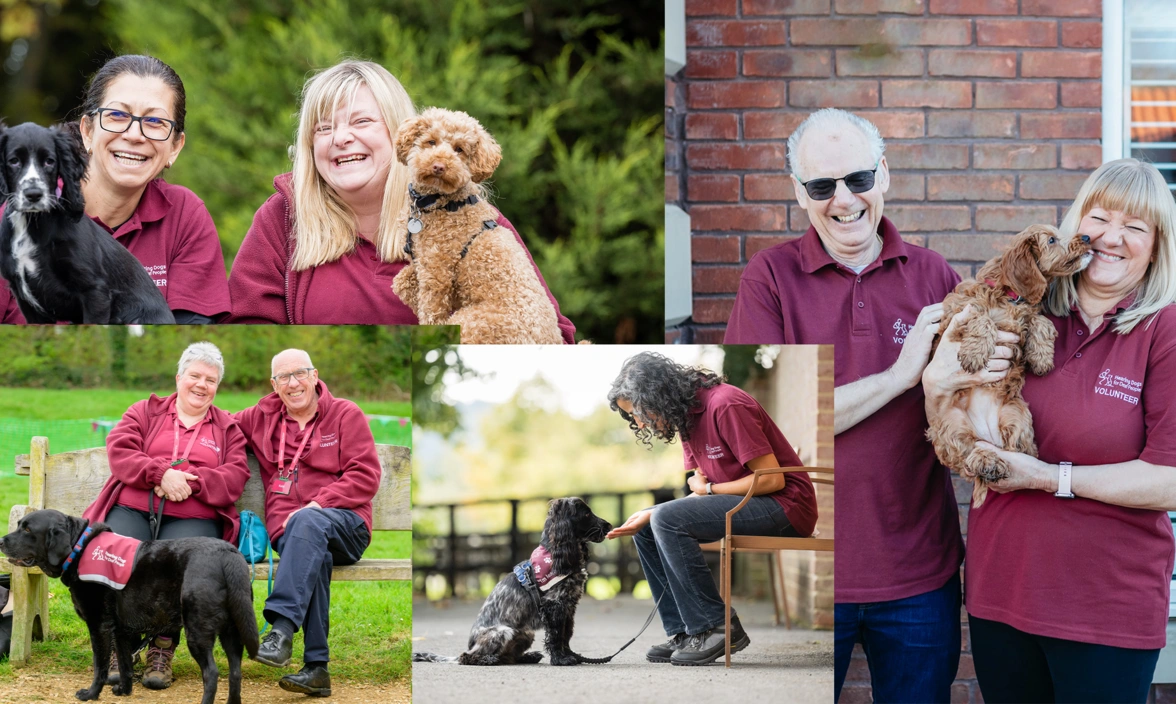 A collection of photos of people in volunteer uniform with dogs looking happy