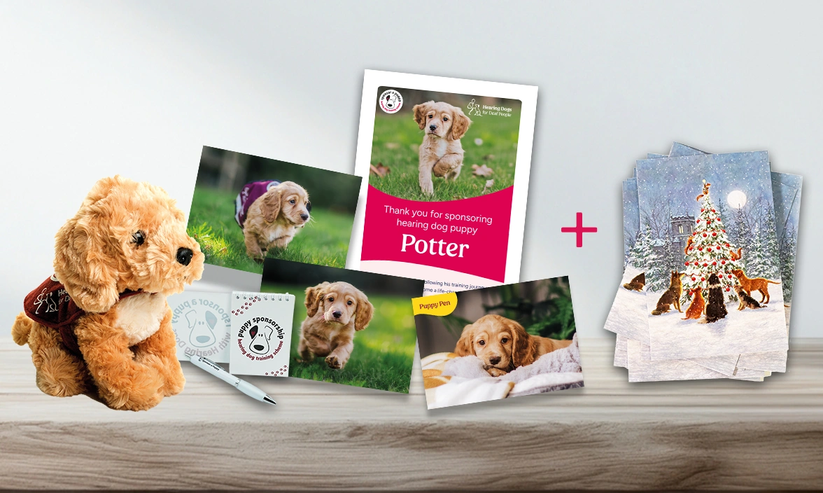 Sponsor a Puppy welcome pack with a pack of Christmas cards next to it