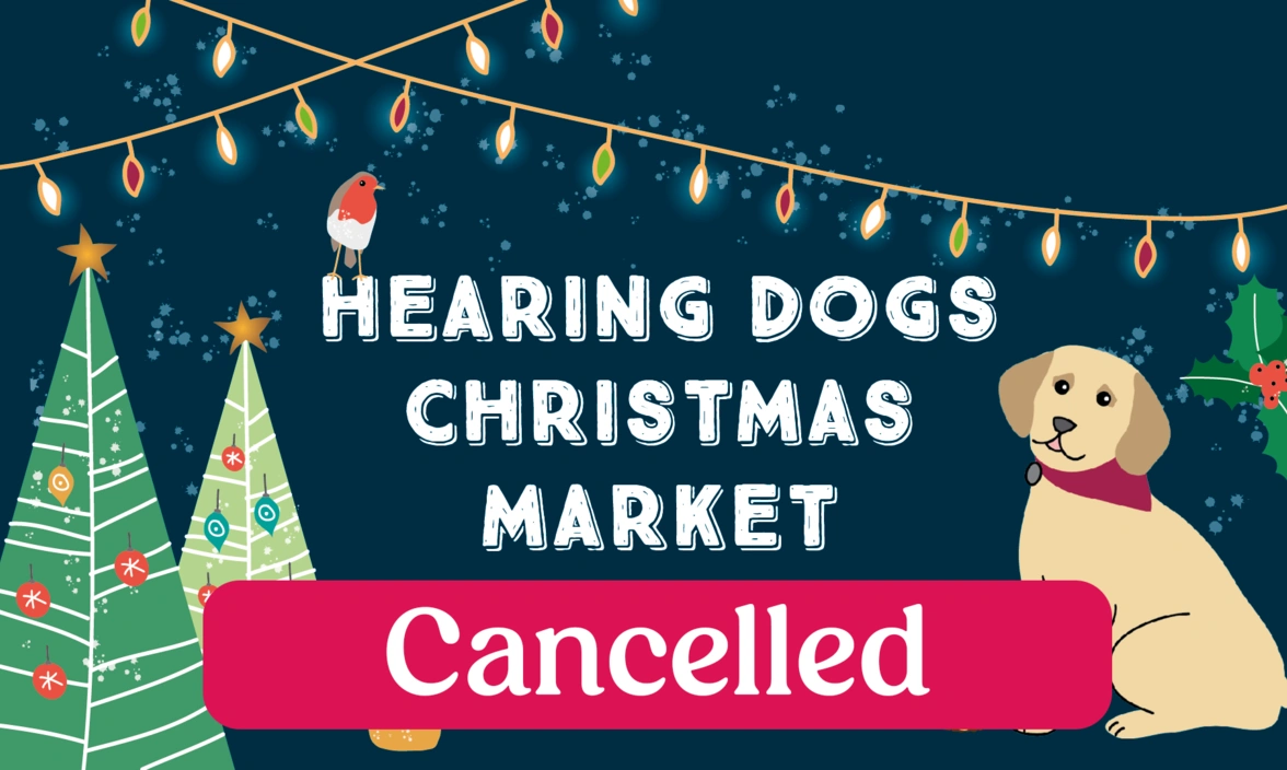 Christmas market cancelled
