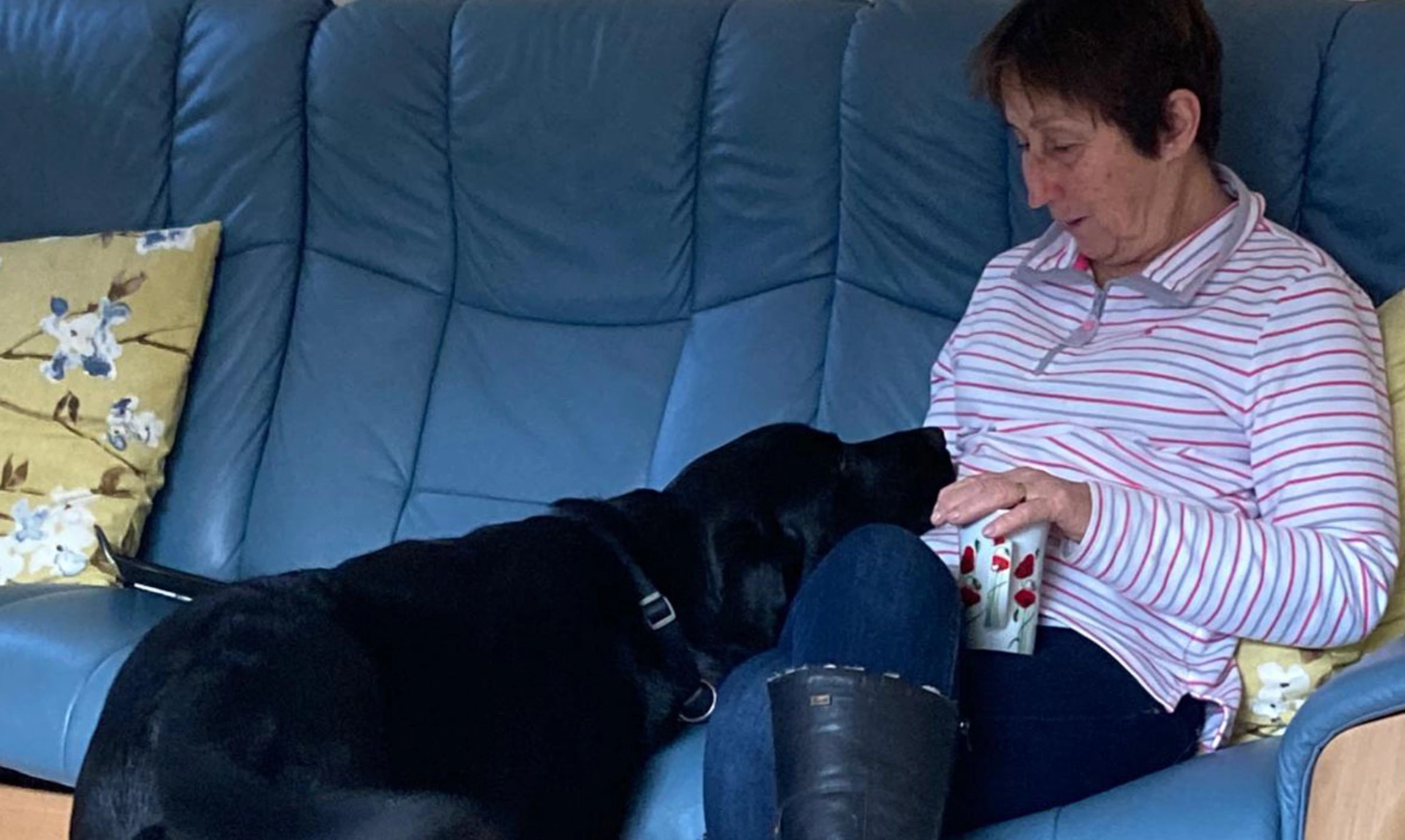 Black Labrador resting their head on lady sitting on sofa