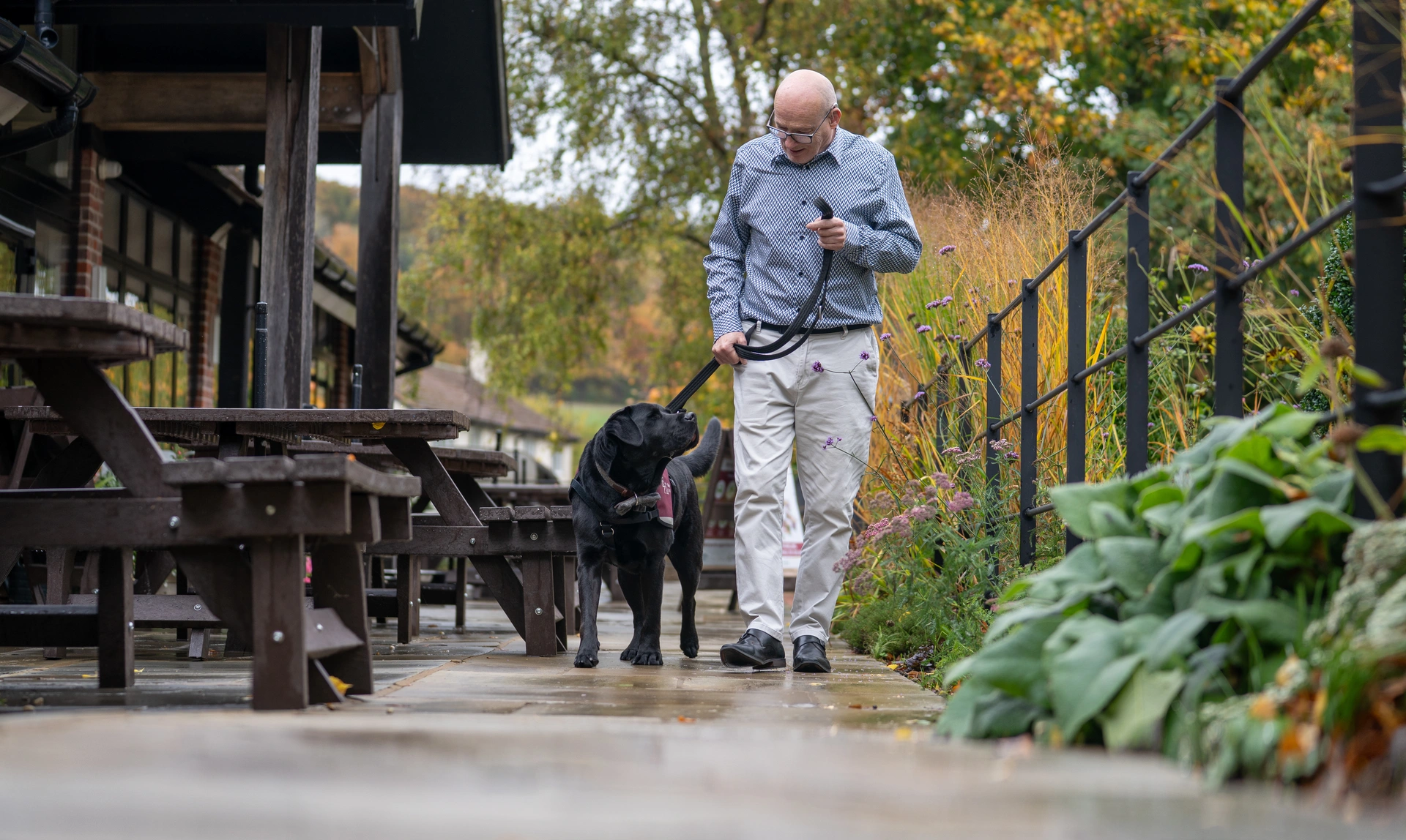 A man walking a black Labrador on a leash along an outdoor pathway with wooden picnic tables on one side and plants and railings on the other. The man and dog are looking at each other.
