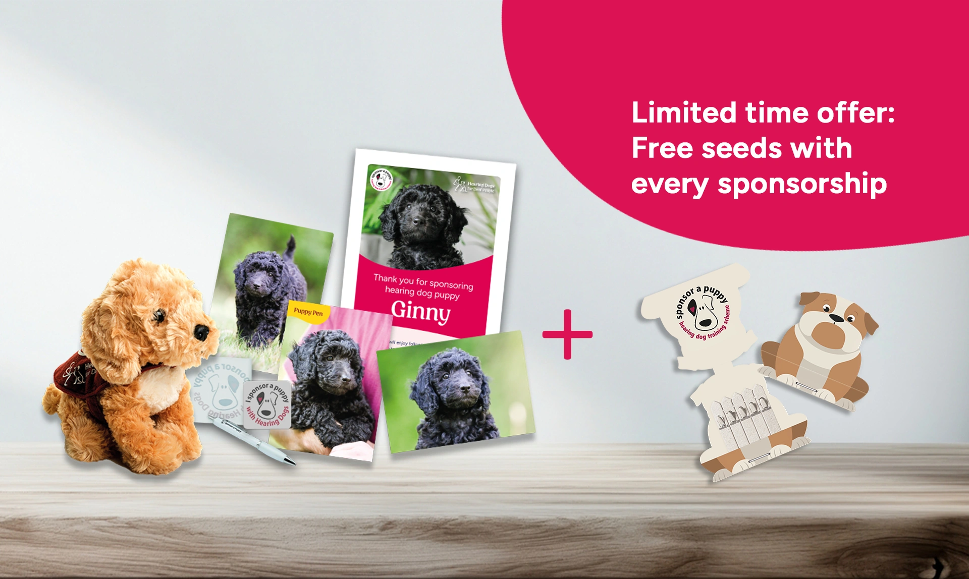Image shows puppy sponsorship welcome pack of cuddly toy, postcards, stickers and pen. Plus limited time offer of a free seed pack.