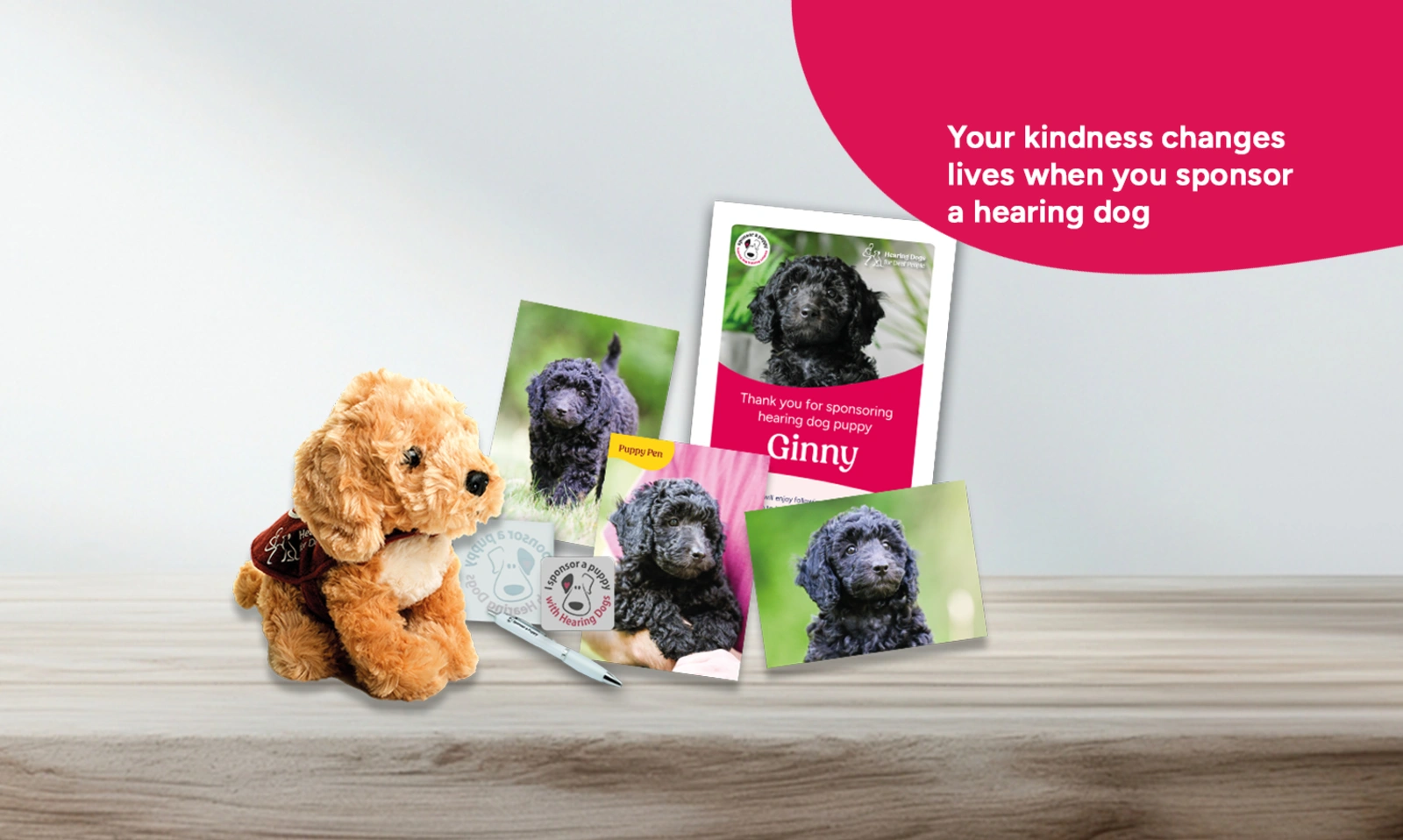 A picture of the sponsorship pack, with cuddly toy, certificate, postcards and pens.