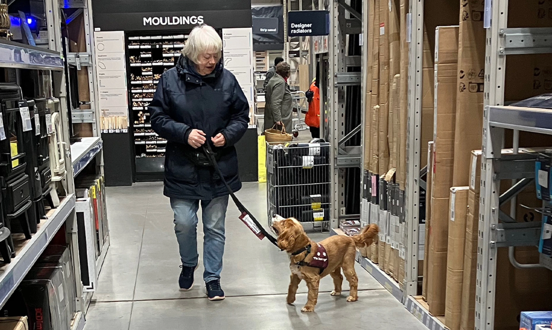 Lady walking through DIY shop with golden spaniel wearing Hearing Dogs training jacket walking alongside her on lead