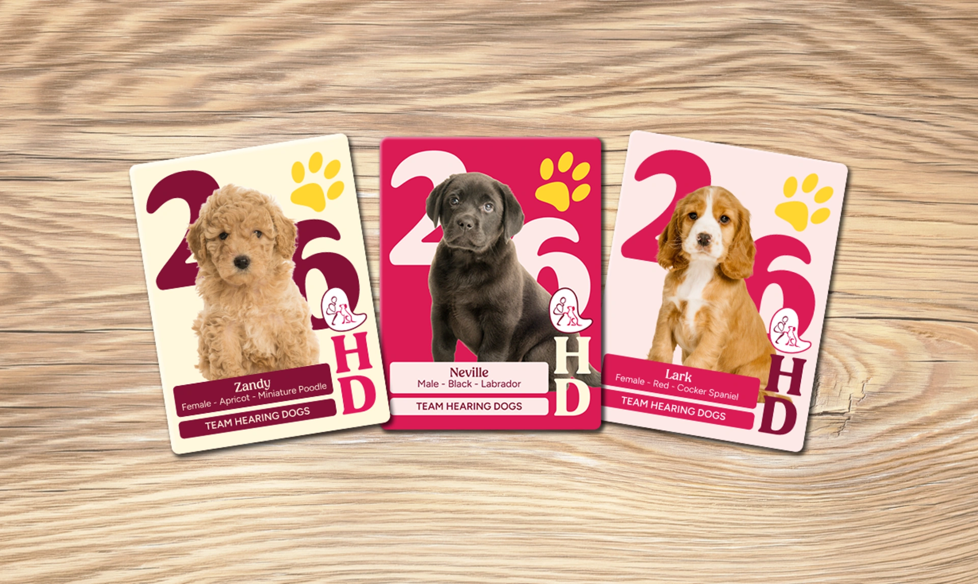 Three hearing dog puppies displayed in the form of collectible cards, fanned out on a table background.