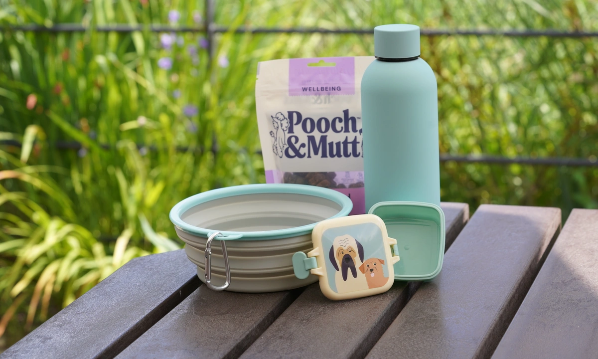 Hearing Dogs Shop products on brown table