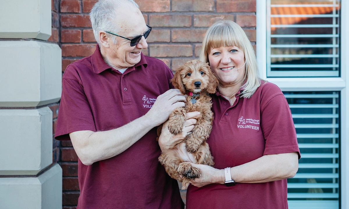 Hearing Dogs Volunteer dog trainers