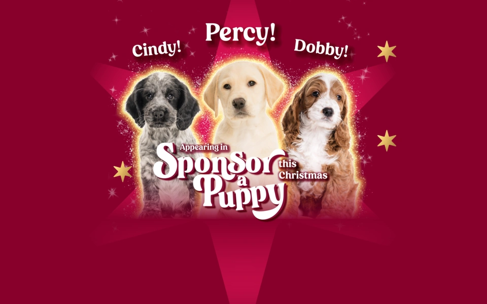 Sponsor a Puppy Oct 2026