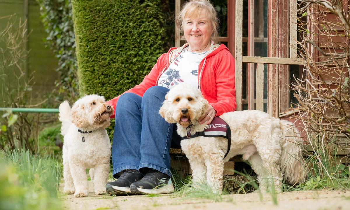 A woman stood in a garden smiling with two light coloured cockapoos, one if wearing a hearing dogs jacket