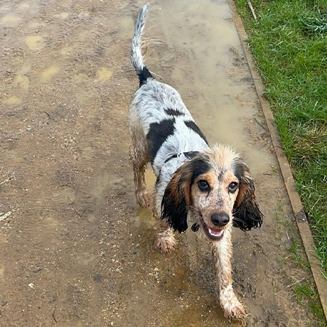 Noah walking in the mud