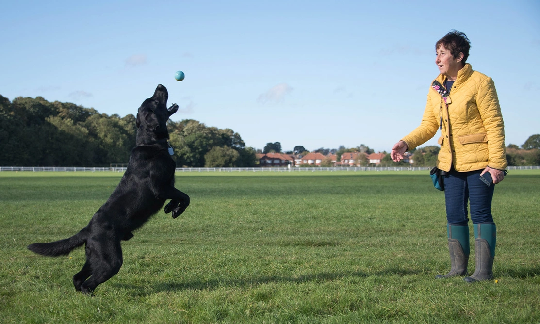 “… my time to shine!”