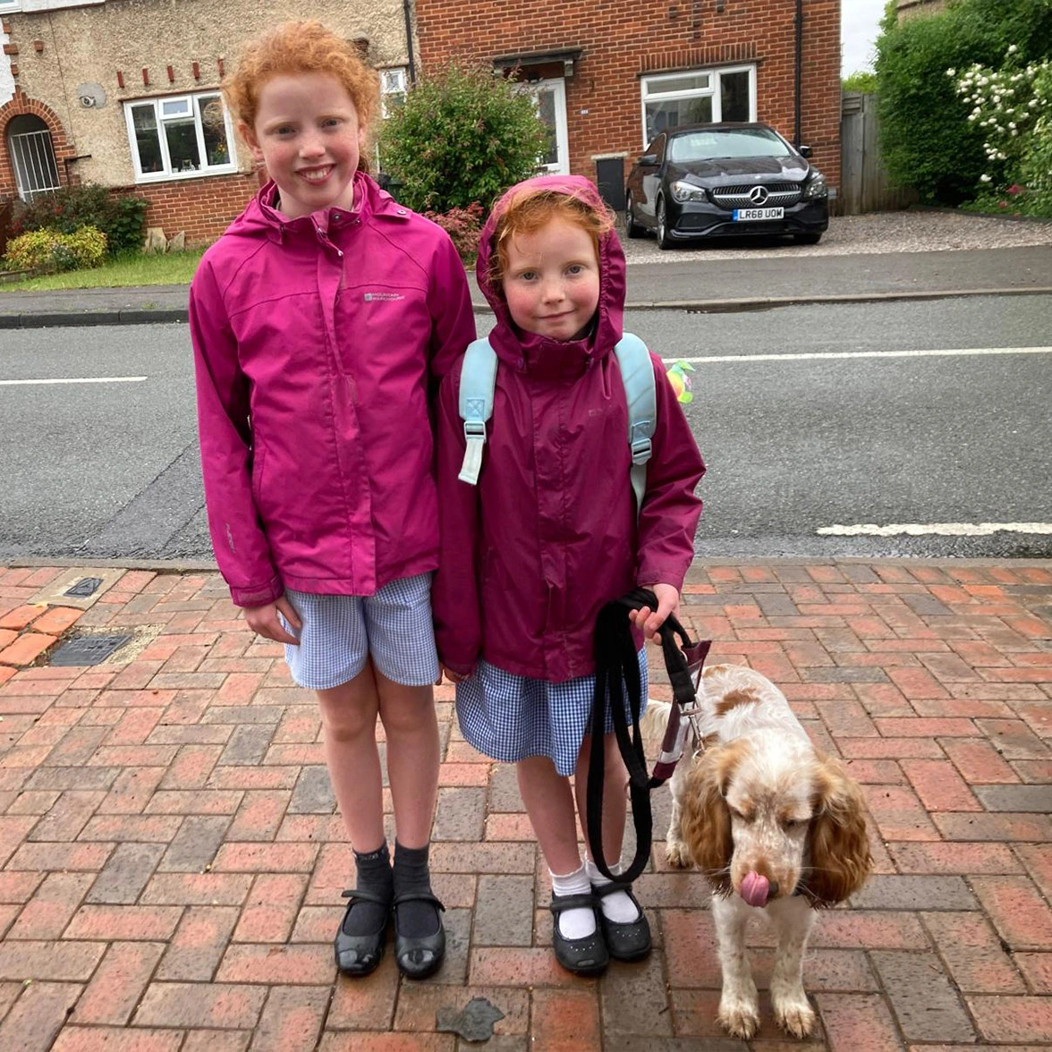 Two female schoolchildren standing next to orange roan spaniel on lead