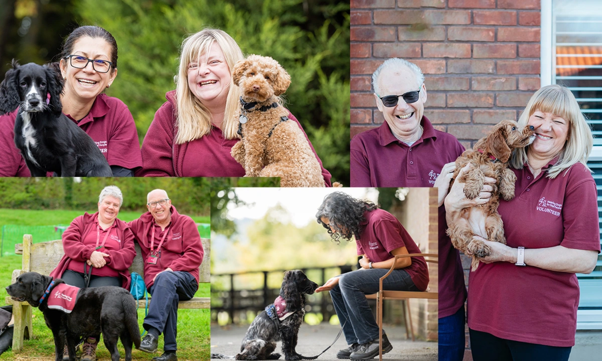 Montage of happy hearing dogs volunteers with dogs