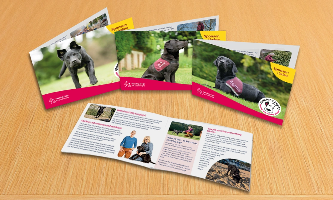 4 Hearing Dogs sponsor a puppy updates laid out on table, featuring a black Labrador