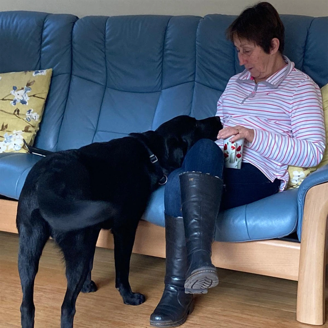 Black Labrador resting their head on lady sitting on sofa