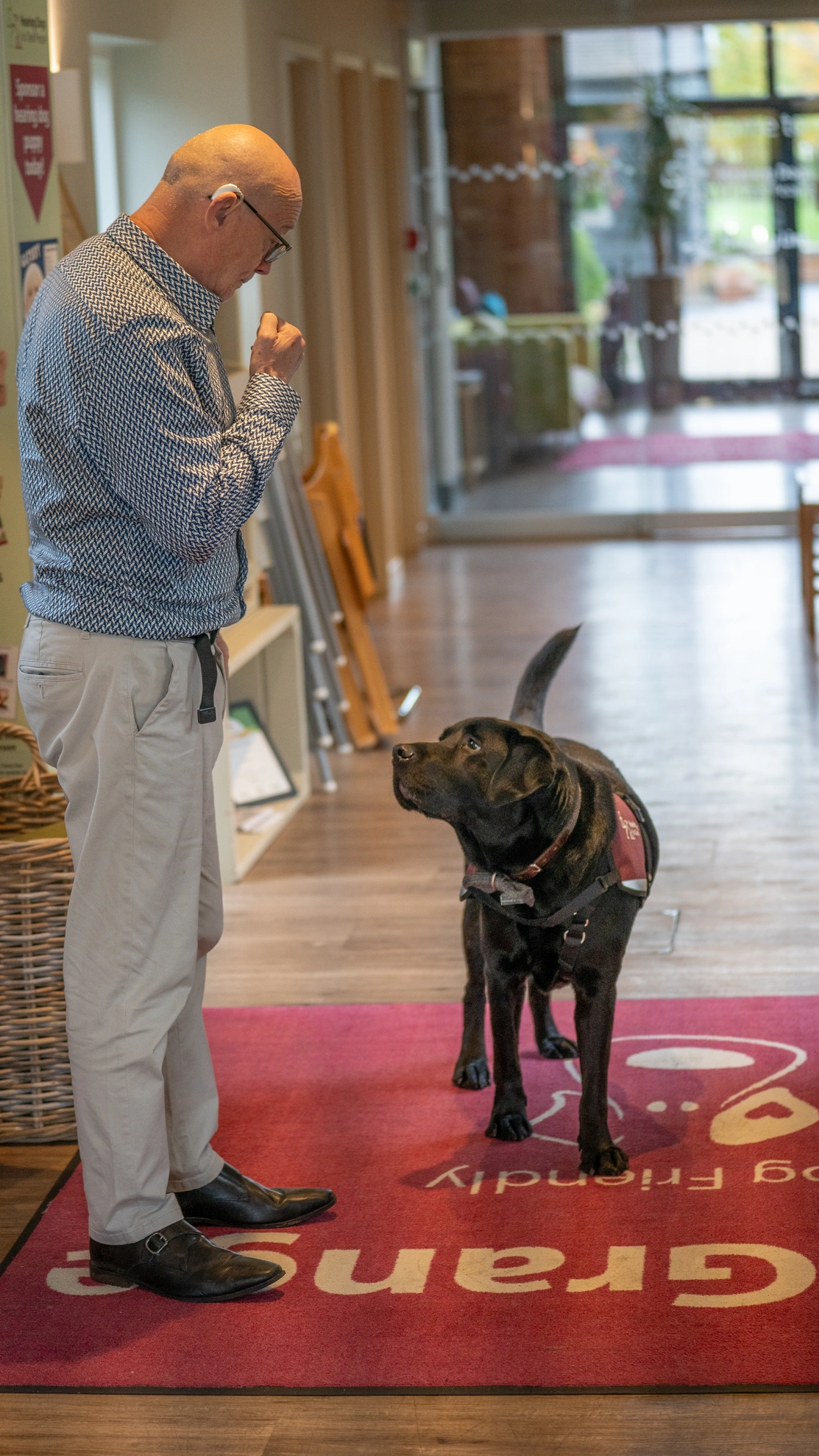 A man, wearing hearing aids, is standing on a rug with a black labrador. Both are looking attentively at each other