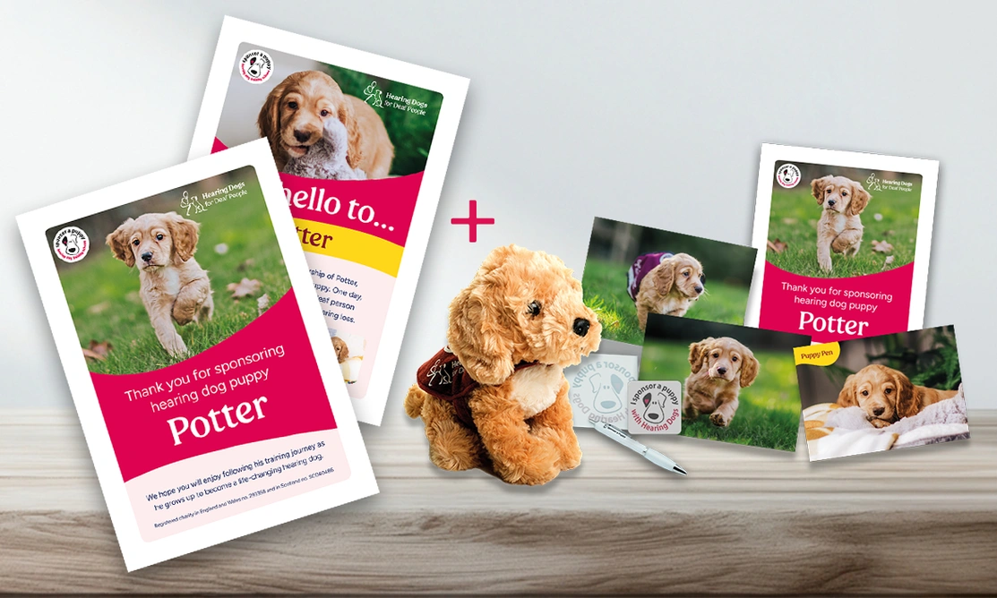 a cuddly toy, postcards, and certificates showing a puppy called Potter with a wooden decoration next to them