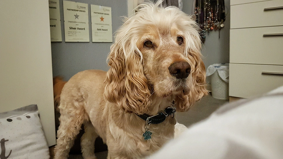 Albert is standing at the side of a bed, look intently off camera.