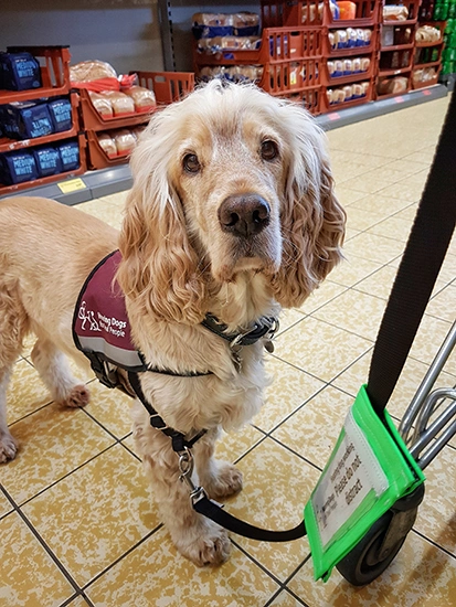 Uniformed Albert is standing in a supermarket aisle. Shelves of bread can be seen in the background