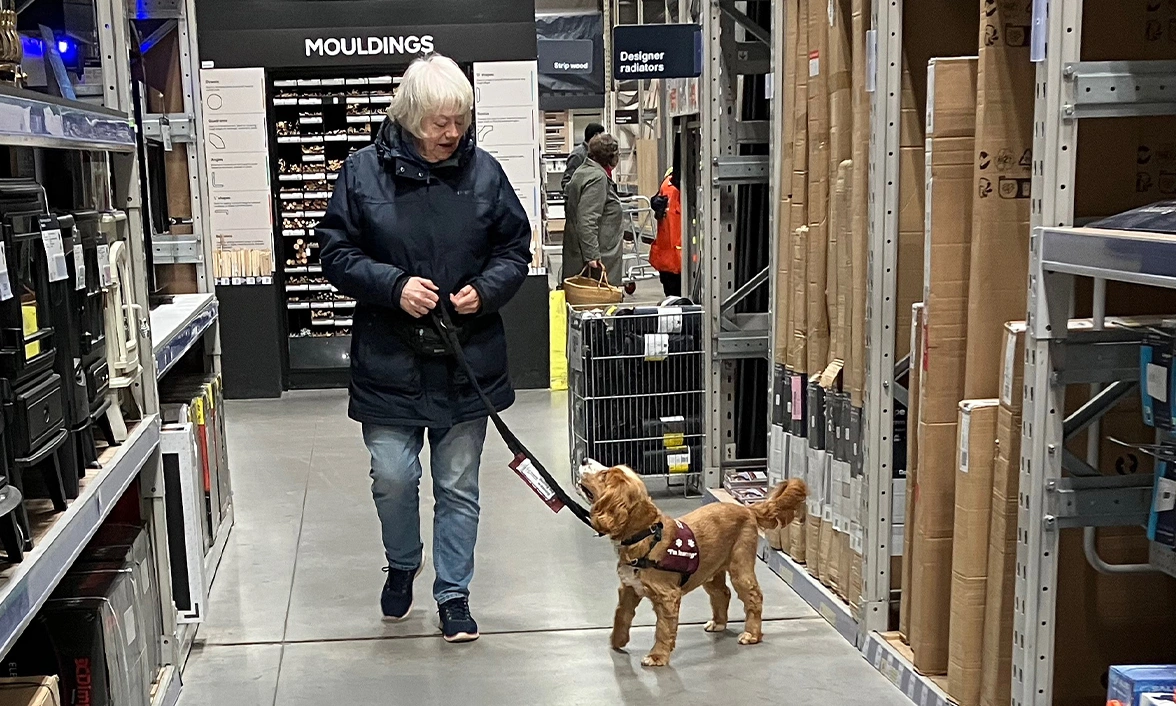 Lady walking through DIY shop with golden spaniel wearing Hearing Dogs training jacket walking alongside her on lead