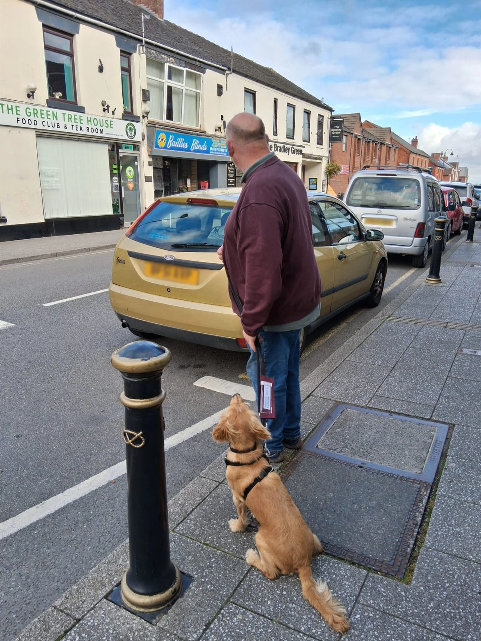 Golden Spaniel sitting nicely on lead next to man waiting to cross road