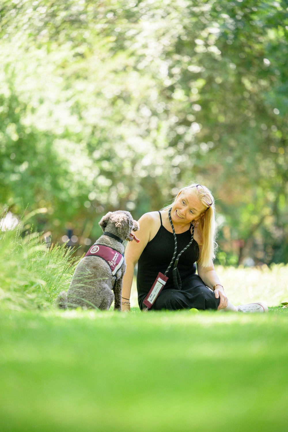 Hearing Dogs Alfie and Lisa