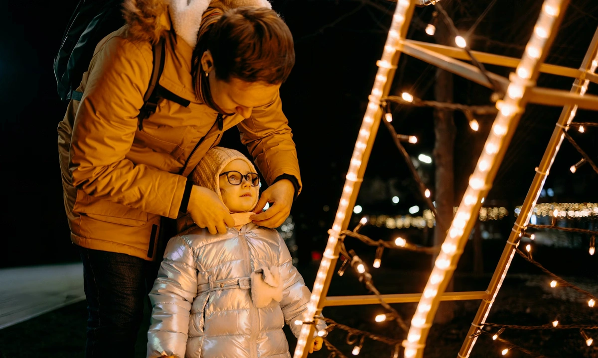 Hearing Dogs for Deaf People Light Trail Christmas event