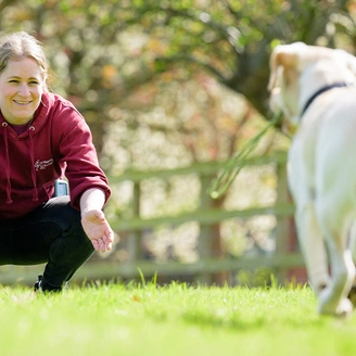 Meg in a field with a yellow labrador running towards her